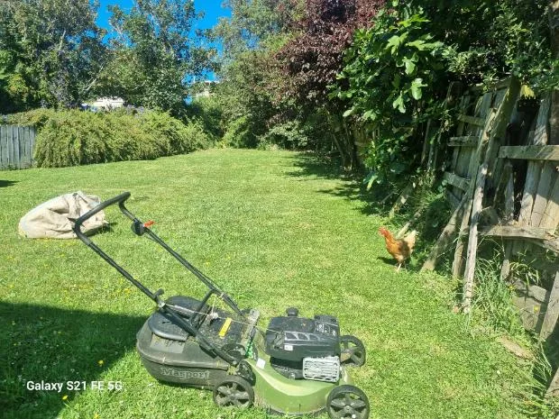 Back lawn mowed to the fence line with the mower and catcher in Tawa