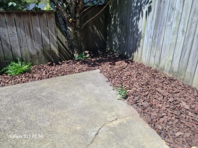 Garden corner cleared and freshly mulched with bark beside a concrete path, Wellington