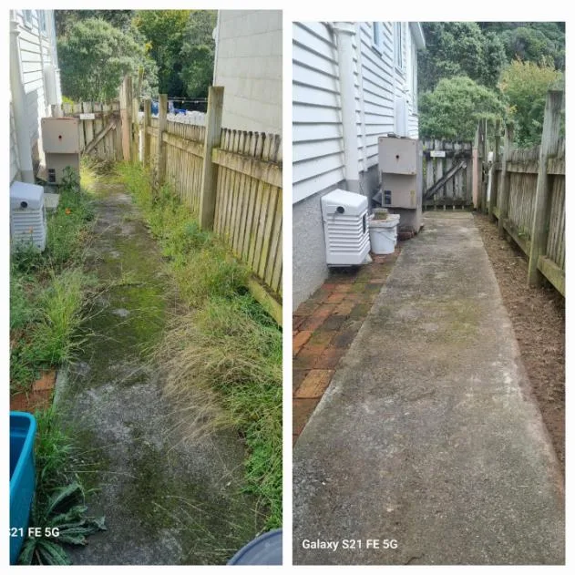 Concrete side path before and after being cleared of moss and weeds in Tawa