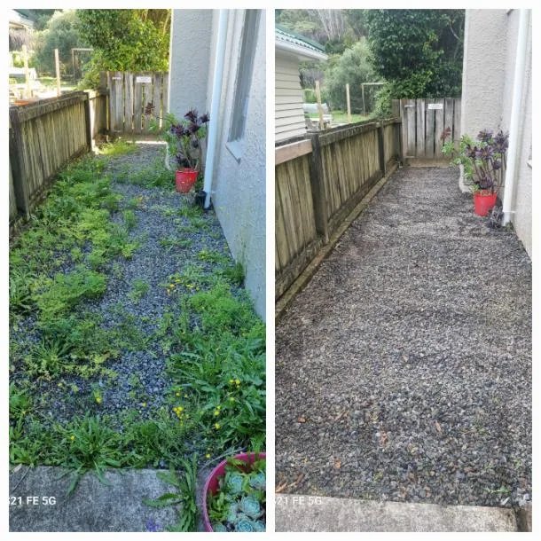 Gravel path before and after a full weed clean-up beside a house in Wellington